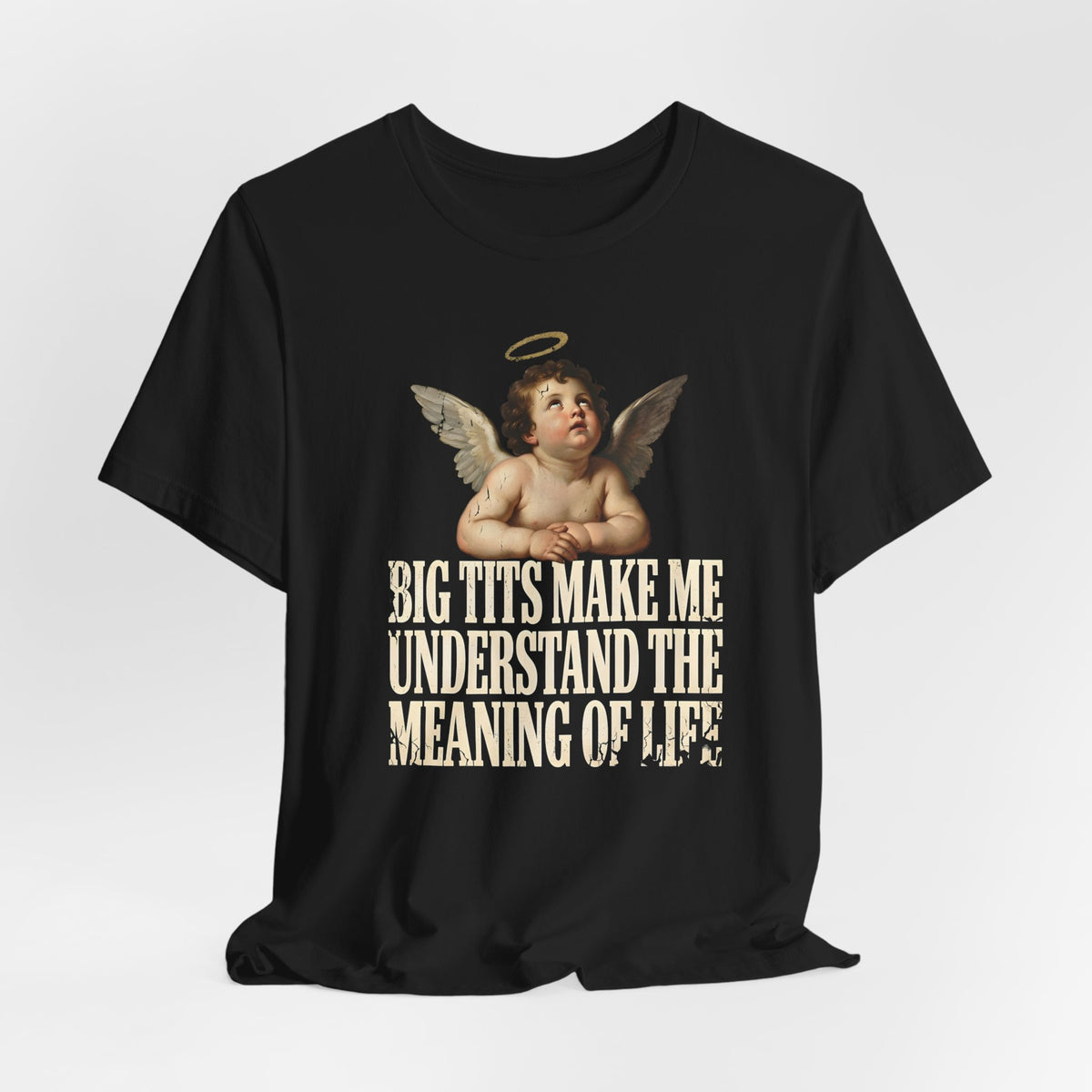 Big Tits Make Me Understand The Meaning Of Life Shirt