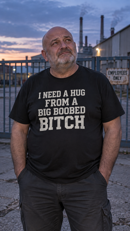 I Need A Hug From A Big Boobed Bitch Shirt